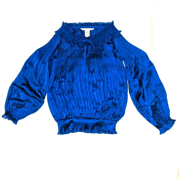 Diane Von Furstenberg Tops - Diane von Furstenberg Blue Pleated Peasant Blouse